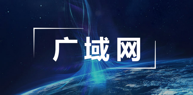 广域网解决方案