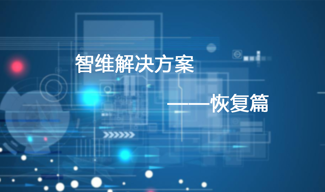 智维局域网解决方案——恢复篇