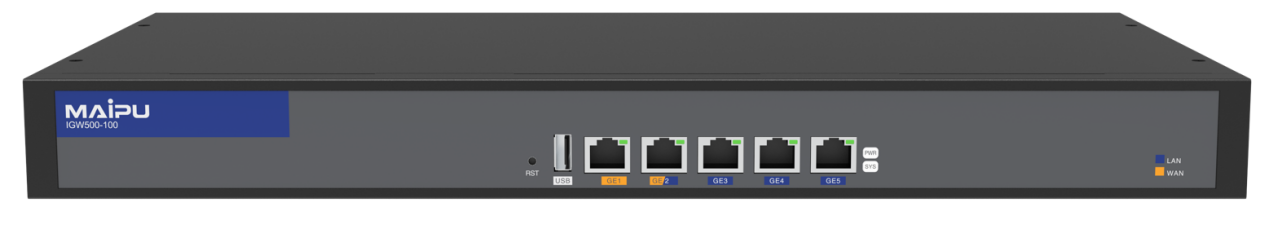 IGW500-100 融合网关